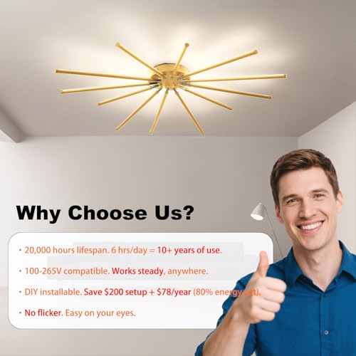 Modern LED Ceiling Light