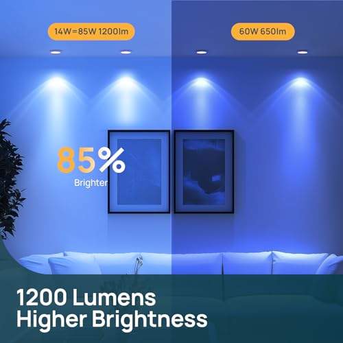 Matter BR30 Smart Light Bulbs (4 Count)