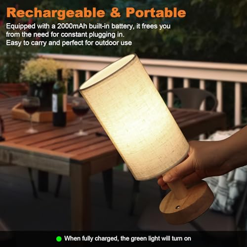 Rechargeable Cordless Touch Table Lamp with Stepless Dimming