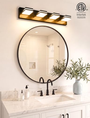 4 Light Bathroom Vanity Light (Black-5CCT / 27.2-Inch)