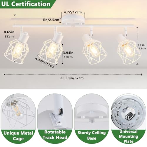 4 Lights Kitchen Light Fixtures Ceiling Mount