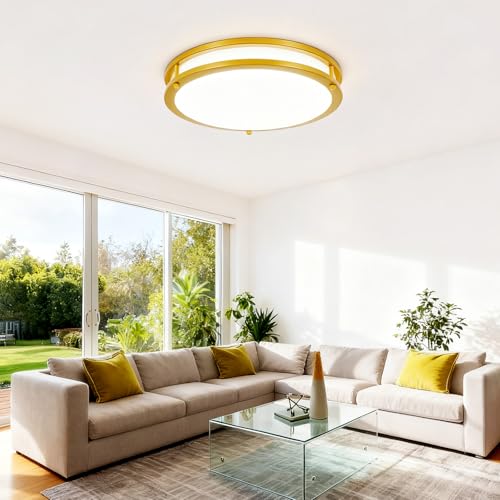 DLLT Flush Mount LED Ceiling Light (2 Count)