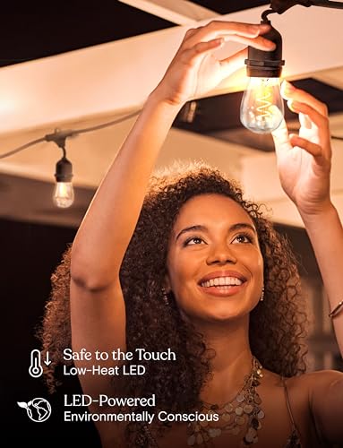 Ambience Pro Waterproof LED Outdoor String Lights (48 Foot)