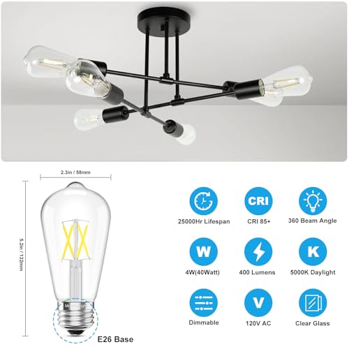 6 Pack Vintage LED Edison Bulbs (6 Count)