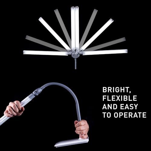 DuoPro Table Lamp