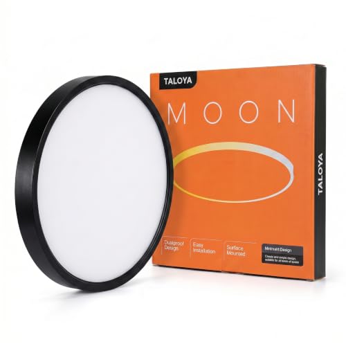 Flush Mount Ceiling Light