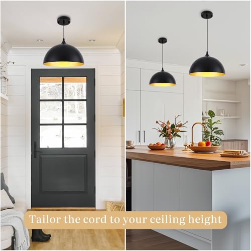 Black Pendant Light Fixtures