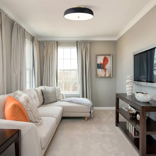 Dimmable LED Ceiling Light Fixture