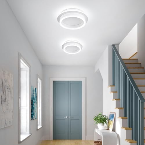 Round Modern Led Ceiling Light Fixture
