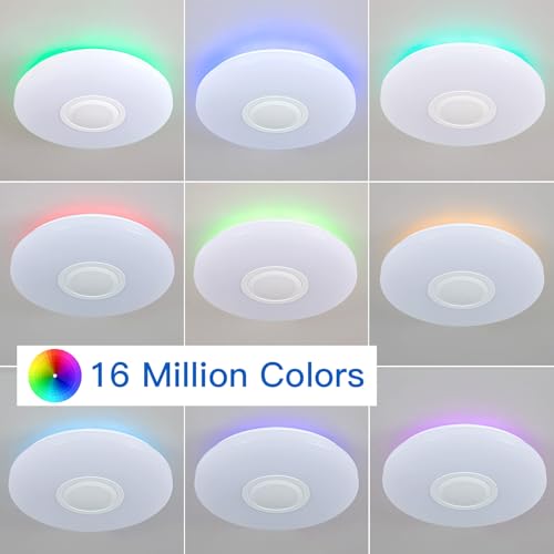 LED Ceiling Light Fixture