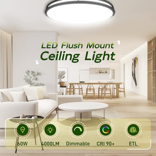32 Inch Oval LED Ceiling Light