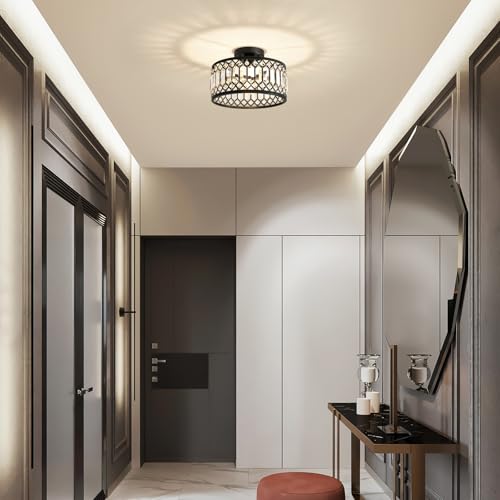 Crystal Black Ceiling Light
