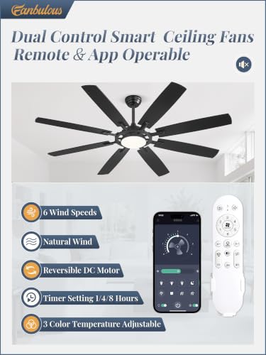 65 Inch Black Ceiling Fans with 3CCT Lights and Remote (Black / 65")