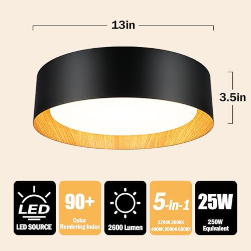 Flush Mount Ceiling Light (2 Count)