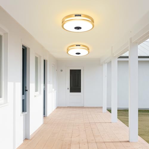 12" LED Motion Sensor Outdoor Ceiling Light Porch Lamp