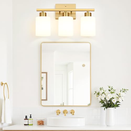 3 Light Bathroom Light Fixtures