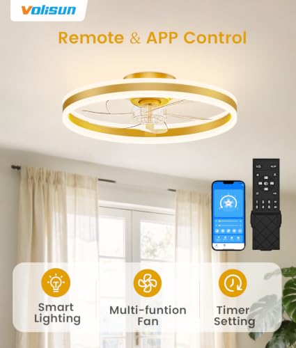 Low Profile Ceiling Fans with Lights and Remote