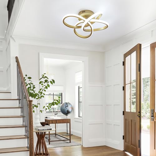 Modern Ceiling Light