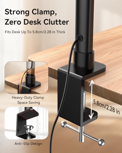 LED Desk Lamp with Clamp