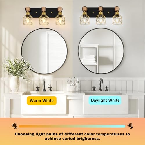 Black and Gold Vanity Light