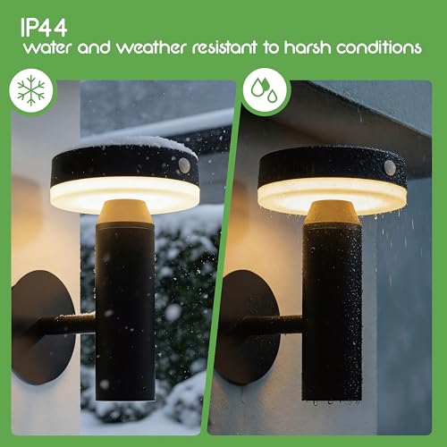 Solar Wall Lights (2 Count)