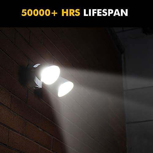 6222W D2D 3500 Lumen 32 Watt Dusk to Dawn Dual