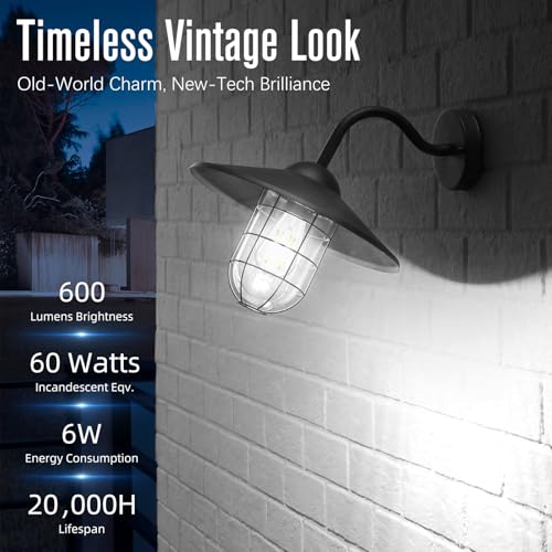 LED Edison Bulbs Dimmable (10 Count)