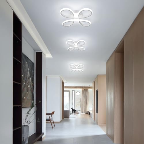 Modern LED Ceiling Light
