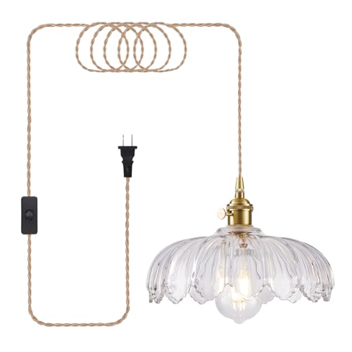 Plug in Pendant Light