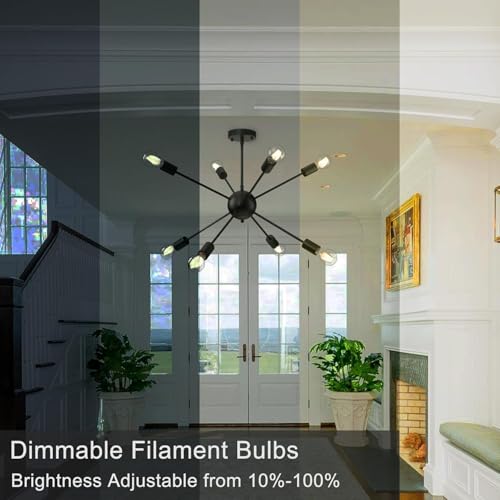 12 Pack A19 Vintage LED Edison Bulbs (12 Count)