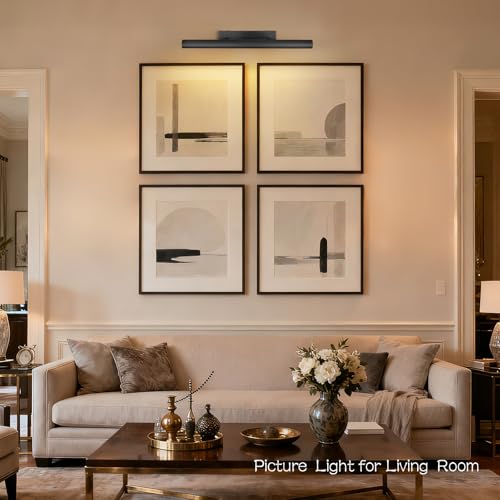 Matte Black Picture Lights for Wall