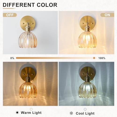 Wall Sconces Set of Two Hardwired
