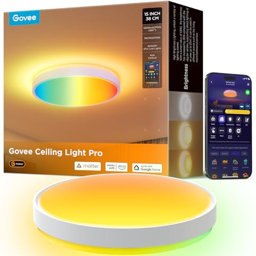 Smart Ceiling Light 4300LM 15 Inch