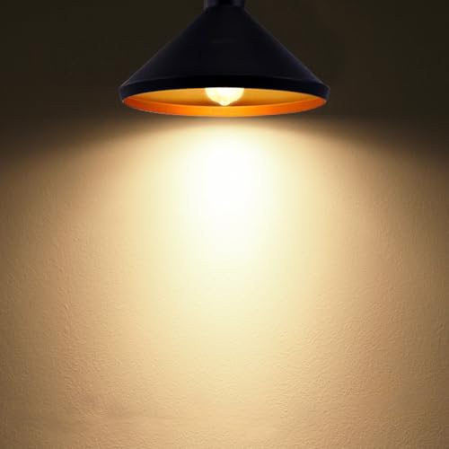 Edison Bulbs Dimmable