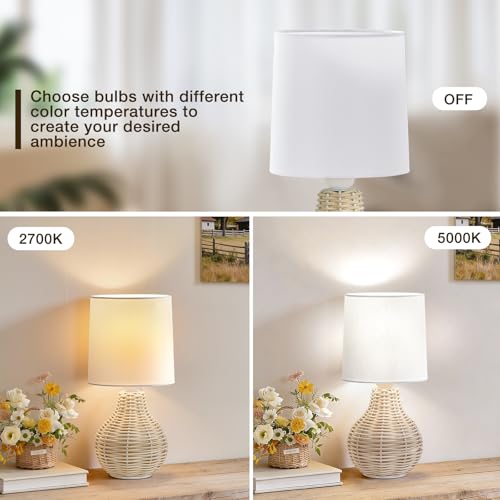 Rattan Table Lamp Boho Lamps Set of 2 (2 Count)