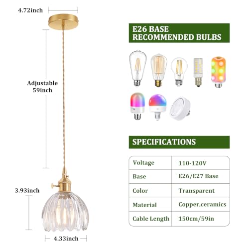 Pendant Light 2 Pack with Clear Tulip Glass Lmapshade (2 Count)