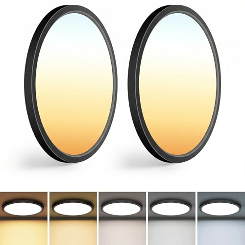 2Pack 13 inch Black LED Flush Mount Ceiling Lights (2 Count)