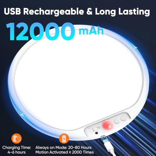 Rechargeable Motion Sensor Ceiling Light