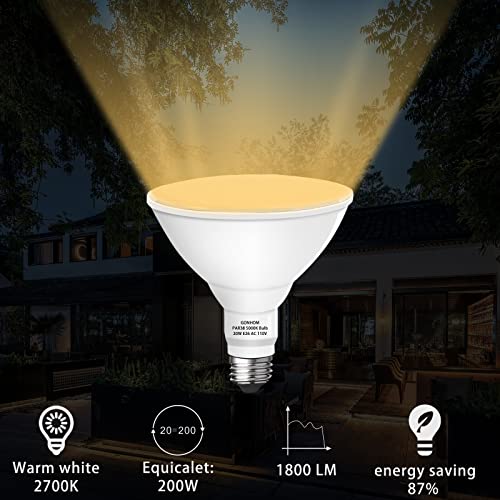 Par38 led Flood Lights Outdoor Light Bulb (2 Count)