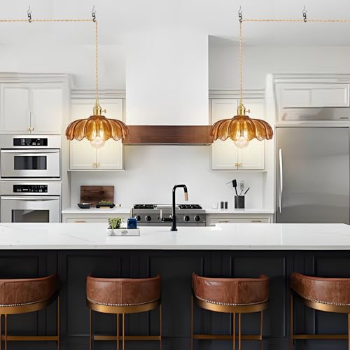 Plug in Pendant Light