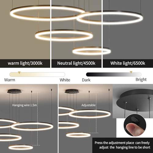 Modern Ceiling Pendat Light