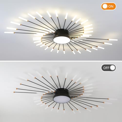 Modern Ceiling Light