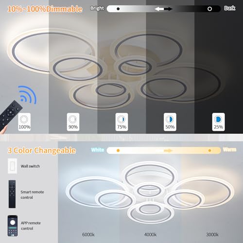Modern LED Ceiling Light