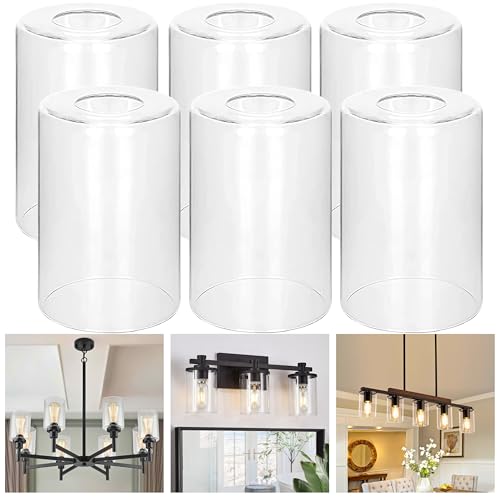 6Pcs Clear Glass Lamp Shade (6 Count)