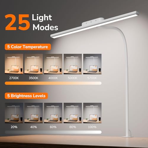 Desk Lamp with Clamp (White)