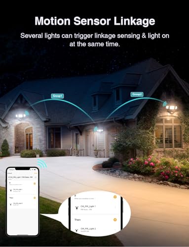 65W Smart Outdoor Security Lights with Motion Sensor (Black)