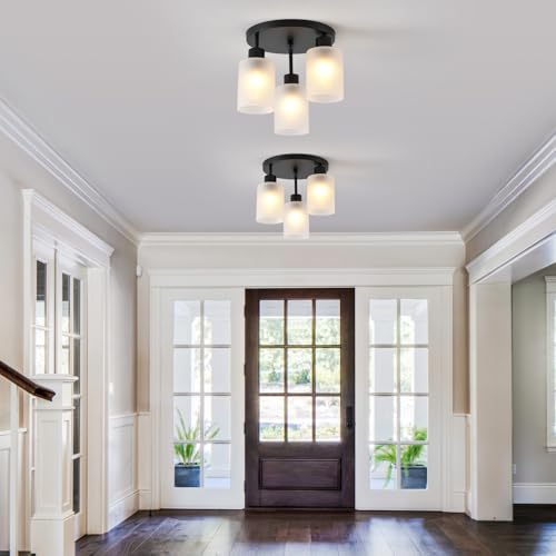 3 Light Industrial Farmhouse Black Matte Light Fixtures Ceiling Mount (3 Count)
