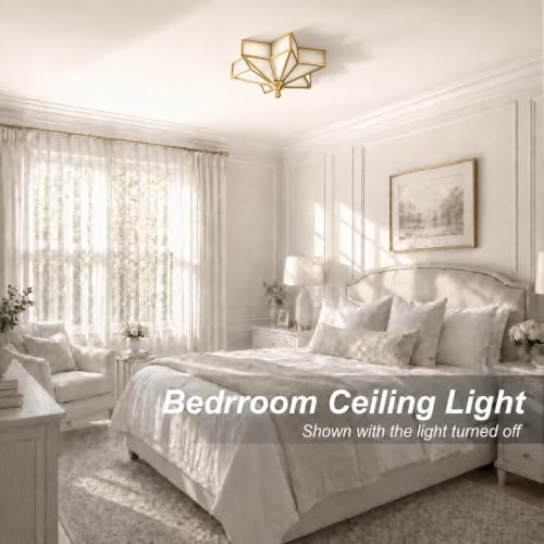 Star Shaped Ceiling Light Fixture
