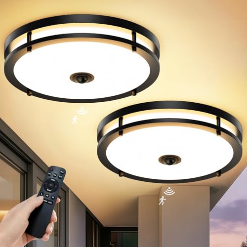 2 Pack 16IN LED Motion Sensor Outdoor Ceiling Light with Remote (2 Count)