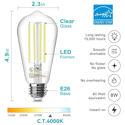 LED Edison Light Bulbs (6 Count)